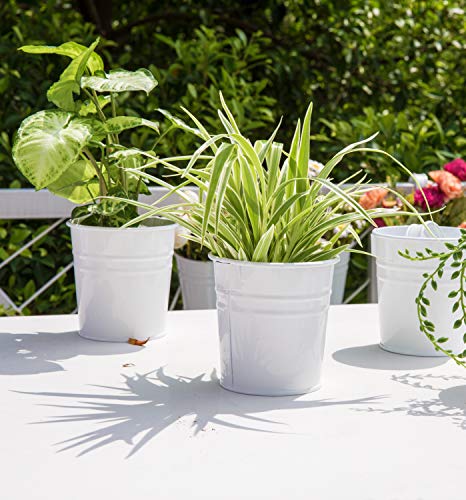 Dahey 3.8 Inches Small Metal Hanging Flower Pots 10 Pcs Railing Planter Box - color: White, size: 4 inches