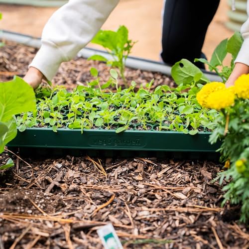 Vego garden 10" x 20" 76 Cells Seed Starter Tray Stackable Seedling Starting Germination Trays for Plants Planting Vegetables Herbs Flowers, 4 Sets - size: 4 Pack, style: 76 Cells Stackable Tray