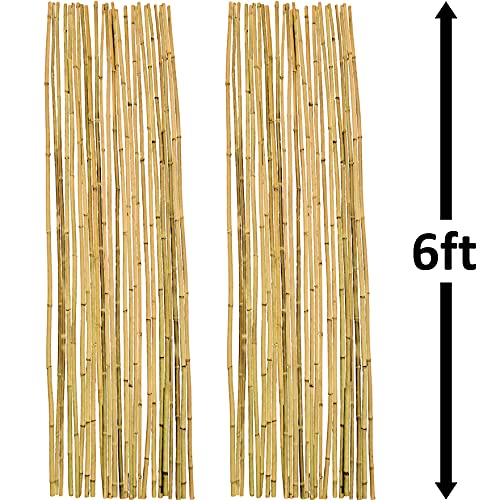 Natural Bamboo Poles, Eco-Friendly Plant Support Garden Stakes 6ft Long, Diameter of 5/8" (50-Count) - size: 6 ft, 5/8" Diameter (50-Count)