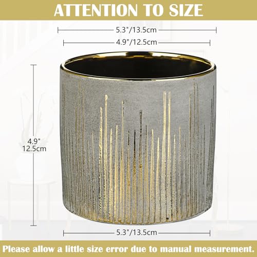 Oairse Small Ceramic Pot for Indoor Plants, 5.3 inch Plant Pot with Drainage Hole Decorative Texture Gold Planter Indoor Outdoor Flower Pots for Succulent Snake Plant Pothos Orchid - color: Natural Grey & Gold