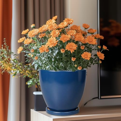 Ceramic Plant Pot - 8 Inch Planter for Indoor Outdoor Plants, Round Flower Pots with Drainage and Tray, Home Office Decor, Blue - color: Matte Blue, size: 8 Inch