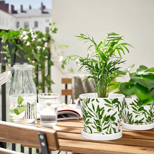Oairse Small Ceramic Pot for Indoor Plants - 5.5 inch Plant Pot with Drainage Hole and Saucer Olive Leaves Decorative Planter Indoor Outdoor Flower Pots for Succulent Snake Pothos Plant Cactus Orchid - color: Green&white