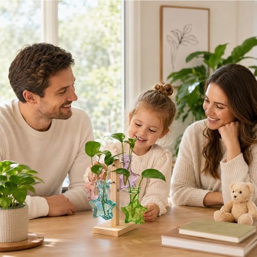 Nacome Plant Terrarium Propagation Stations: Colored Vase with Wooden Stand - color: Colored
