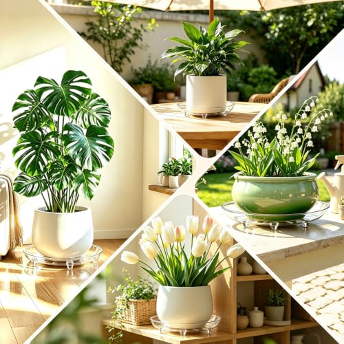 SupKing 6 Pack Plastic Plant Saucers with Raised Feet 6 inch / 8inch / 10inch /12inch Heavy Duty Clear Plant Trays to Catch Water Flower Pots Saucer for Indoor & Outdoor Plants (8” Clear) - size: 8in - 6 Pack