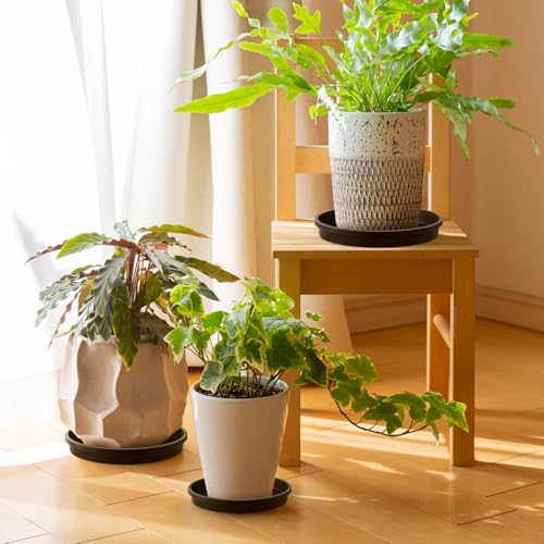 Plant Saucer 16 Inch 2 Pack Round Plastic Heavy Duty Pot Tray for Outdoors - size: 16'' (2 Pack)