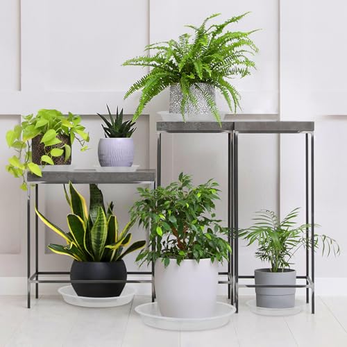Plant Saucers 3 4 5 6 7 8 9 10 11 12 14 Inch, 5 Pack Clear Plastic Plant Trays for Pots, Durable Plant Water Catcher Tray for Indoors Outdoors (6", Clear) - size: 6 INCH