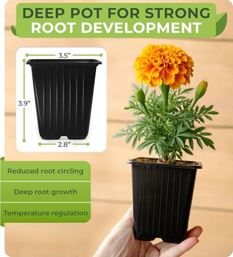 CARPATHEN Nursery Pots for Plants with Drainage Holes, 3.5 inch, 60 Pack