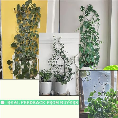 14.2 Inch Trellis for Potted Plants, 3 Pack Metal Plant Trellis Indoor - color: 3 pack black