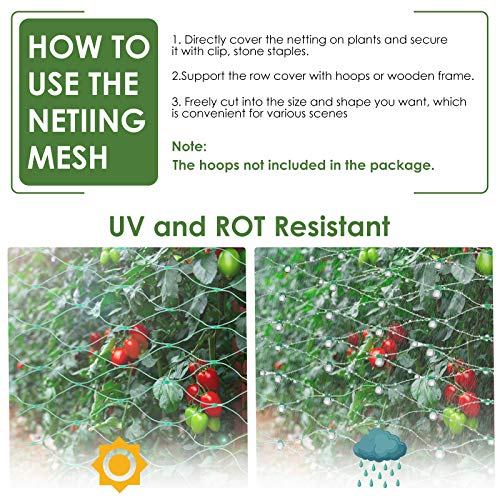 13X130FTRuolan Bird Netting for Garden Protect Vegetable Plants and Fruit Trees,Plastic Trellis Netting for Birds, Deer,Squirrels and Other Animals (13X130), Green - size: 13X130