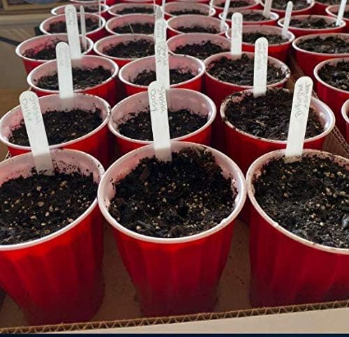 1000 Pcs 6 Inch Plant Markers, White