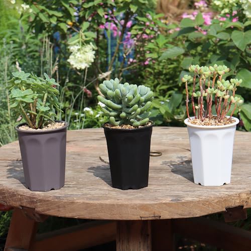 14 Pack 4.40 Inch Plastic Deep Nursery and Seedling Pots, Round Transplant Seed Starter Planter,Gray Color - color: Gray, size: 4.40 inch