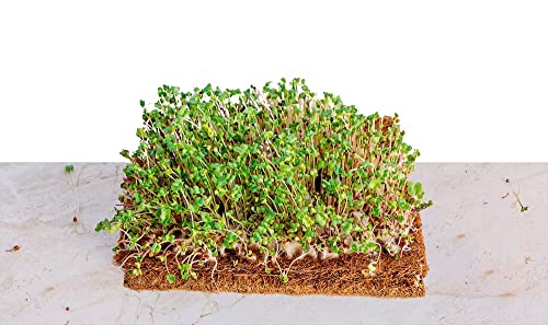 Envelor Coco Coir Fiber Microgreen Mat Seed Starter 10 x 20 Inches, 10 Pack - size: 10 x 20 Inches - 10 Pack