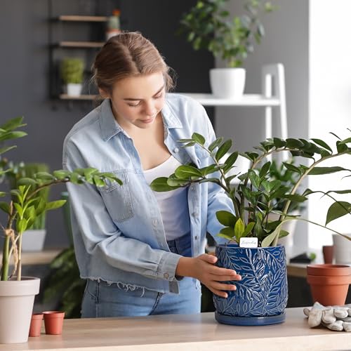 D'vine Dev Embossed Leaves Ceramic Planter, 6 in, Midnight Blue, 27-A-X-3 - color: Midnight Blue, size: 6 Inch
