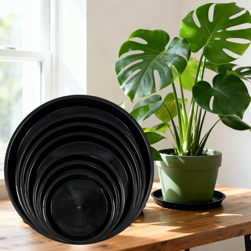6 Pack 10 Inch Black Plant Saucers Plastic Drip Trays for Pots - color: Black, size: 10 Inch
