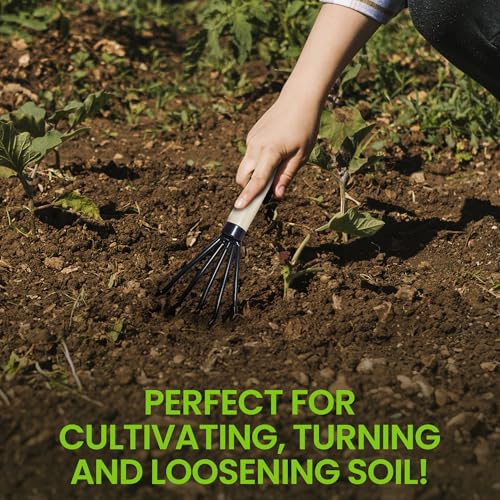 Garden Guru Hand Rake Cultivator Claw Soil Tiller - Military Grade Steel - Rust Resistant - 5 Tine Japanese Ninja Claw - Comfortable Wood Handle - Perfect Pulverized and Aerated Soil (4 Pack) - color: Short Handle, size: 4 Pack