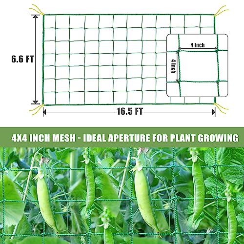 Trellis Netting for Climbing Plants, Cucumber/Tomato Garden Trellis Netting - size: 6.6x16.5 FT (27 Strands)