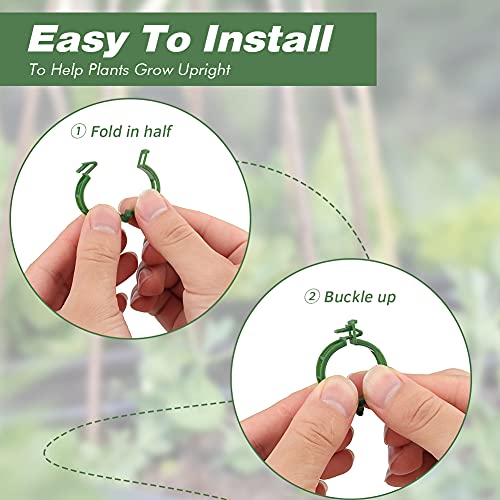 KINGLAKE Plant Support Garden Clips, 200 Pcs Tomato Vine Trellis Clips for Vegetables to Grow Upright and Make Plants Healthier - Green - color: Green