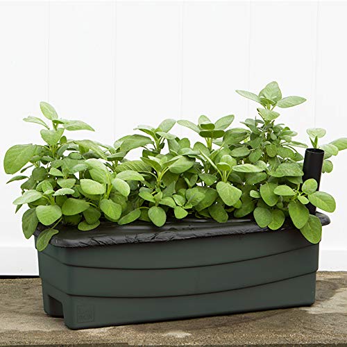 EarthBox 80601.01 Junior Garden Kit, Standard, Green - color: Green, style: Standard