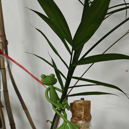 6pcs Frog Plant Stand Holder Plant Propagation Buddy for Indoor Accessories