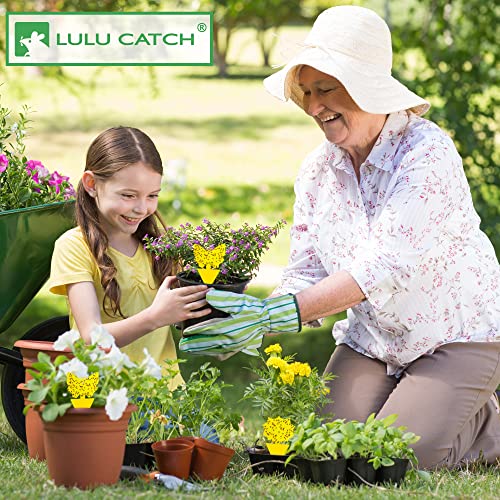 LULUCATCH Fruit Fly Sticky Trap 24 Pack, Yellow Sticky Trap Safe Gnat Traps, Super Sticky Fly Trap for Indoor, Outdoor, Kitchen, Insect Catcher for White Flies, Mosquitos, Fungus Gnats, Flying Insects - size: 24 Pack