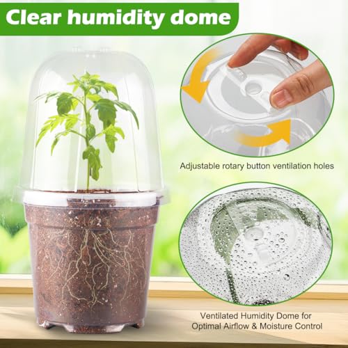 RooTrimmer 6 Inch Clear Nursery Pots with Humidity Dome, 15 Pack Durable Seed Starting Pot with Drainage Holes, Transparent Plastic Plant Seedling Pots for Indoor Gardening Plants - color: Clear Pots With Domes-15p, size: 6Inch