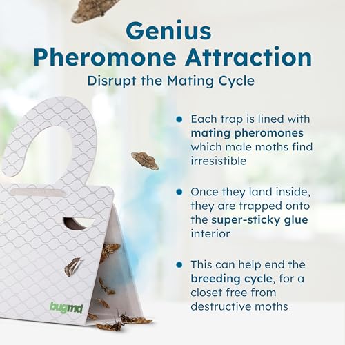 BugMD Clothes & Pantry Moth Traps with Sticky Glue - color: White, size: 1 Pack - 6 Traps
