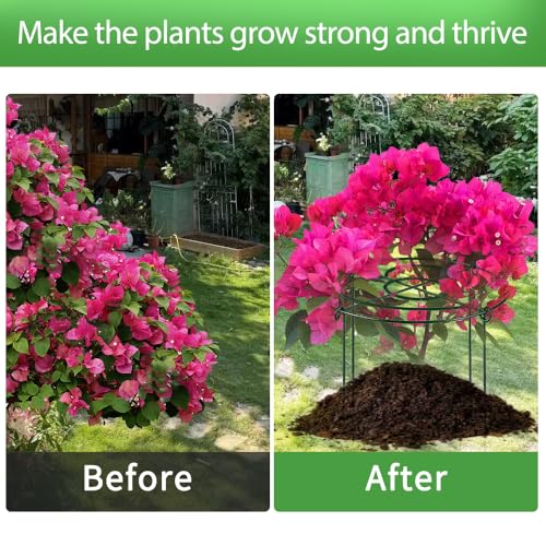 Peony Cages and Supports Pack 6 PCS,15.8" Dx23.6 H Heavy Duty Plant Support Cage Set for Hydrangeas, Roses and Tomatoes,– Garden Stakes & Plant Cages for Outdoor Plants (15.8" Wx23.6 H-6 Pack) - size: 15.8" Wx23.6" H-6 Pack