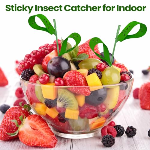 Qualirey 150 Pcs Green Sticky Houseplant Traps Gnat Stakes Indoor - color: Green