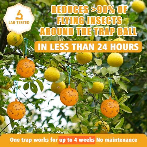 6pcs Sticky Insect Trap Ball Osseph Fruit Fly Trap Balls for Indoor Outdoor - color: Orange