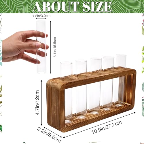 Glass Plant Propagation Station with 5 Test Tubes Colorful Planter Vase