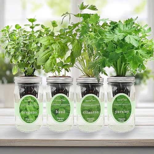 Hydroponic Herb Growing Kit Set, Self-Watering Mason Jar Herb Garden Starter Kit Indoor, Grow 4 Kinds of Herbs from Seeds (Cilantro,Basil,Parsley&Oregano) - color: Cilantro,Basil,Parsley&Oregano