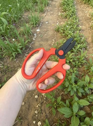 Garden Pruning Shears Scissors With Carbon Steel Blades 6.7 In, Amaryllis - Red - style: 6.7 inch Red