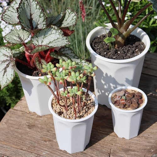 14 Pack 4.40 Inch White Plastic Deep Nursery and Seedling Pots, Round Planter Container for Transplanting, Cutting, Succulent - color: White, size: 4.40 inch