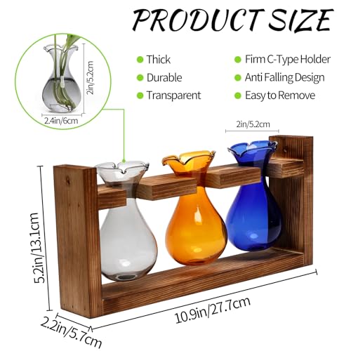 Plant Propagation Station Plant Terrarium Unique Birthday Gifts for Women - color: Color03