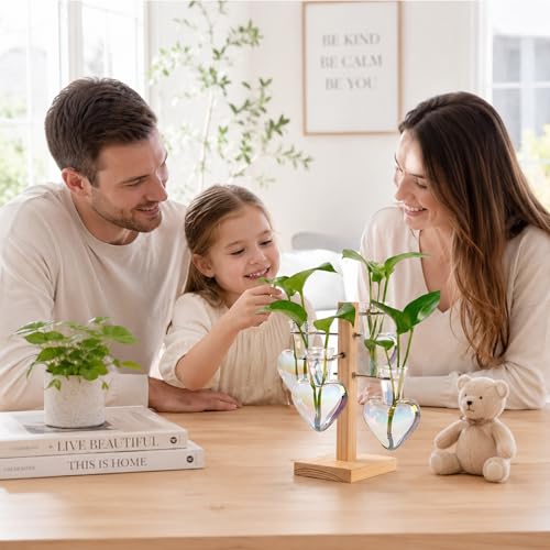 Nacome Plant Terrarium Propagation Stations: Clear Vase with Wooden Stand - color: White