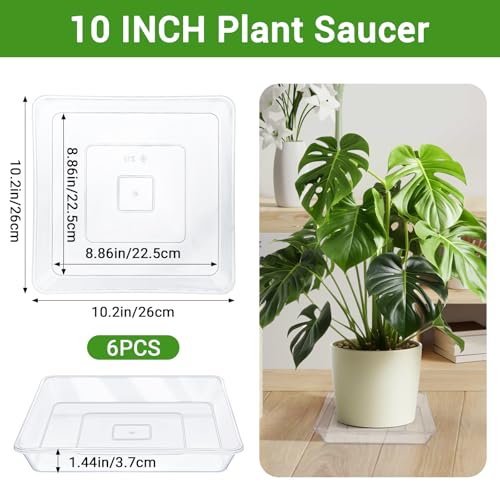 Greaner 10 Inch Large Plant Tray, 6 Packs Square Plant Pot Saucer, Durable Thick Watering Trays for Plants, Plastic Plant Tray for Outdoor Indoor Garden Supplies(Clear) - color: Clear, size: 10"