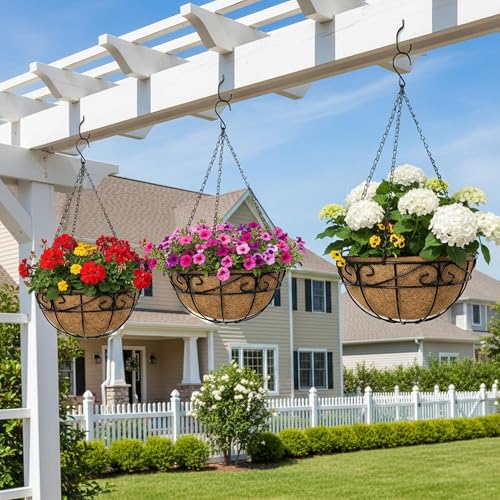 EIMQUVW Outdoor Metal Hanging Planters Basket (4pack, 12 inch) Hanging Baskets for Plants Chain Round Wire Plant Holder with Coco Fiber Liners for Garden, Patio, Deck, Porch(Flower Border) - size: 12 Inch