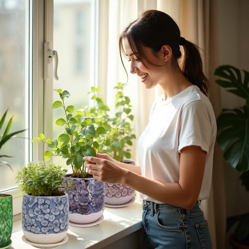 6 in Ceramic Plant Pot with Saucer,Indoor Plant Pot for Plants, Flower Pot with Drainage,Reactive Glaze Grey - color: Gray