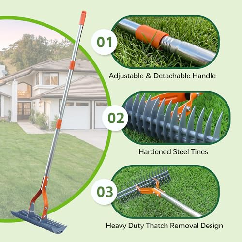 Thatch Rake – 74-Inch Heavy Duty Metal Rake with Hardened Steel Tines for Efficient Lawn Thatch and Dead Grass Removal, Detachable Handle Manual Dethatcher Rake for Yard and Landscape Maintenance