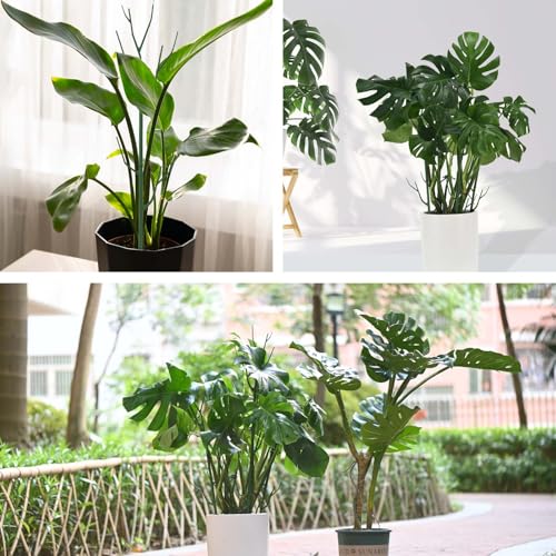 Yhtpouqe 9 Pack Green Plant Support Stakes Plant Stakes for Indoor and Outdoor Plants. 39.37inch Plant Sticks with Extension Poles, Plant Clips,Plant Ties for Potted Monstera Plants, Climbing Plants - size: 39.37"- 9 Pack