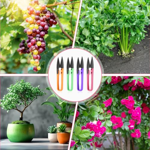 4PCS Mini Bonsai Pruning Scissors, StainlessSteel Gardening Clipper