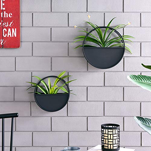 Danya B Round 2-Piece Iron Wall Planter Set Black - for Succulent, Mini Cactus, Air, & Faux Plants
