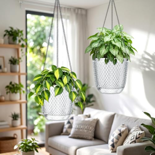 QCQHDU Small Hanging Planters for Indoor Outdoor Plants,Self Watering Flower Pots Hanging Basket Plant Hanger 5.7 Inch with Drainage Holes and 3 Hooks for Window Porch Garden Balcony, (Clear) 2 Pack - color: Clear, size: 5.7"+5.7"