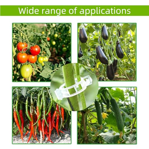 100 Pcs Plant Support Clips,Plastic Clips for Securing Plants - color: Green