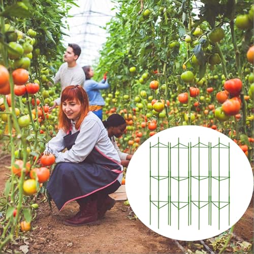 Moirsunt 4Pack Tomato Cage for Garden, 50.2Inch Plant Support Garden Stakes - size: 4Pack 50.2 Inch