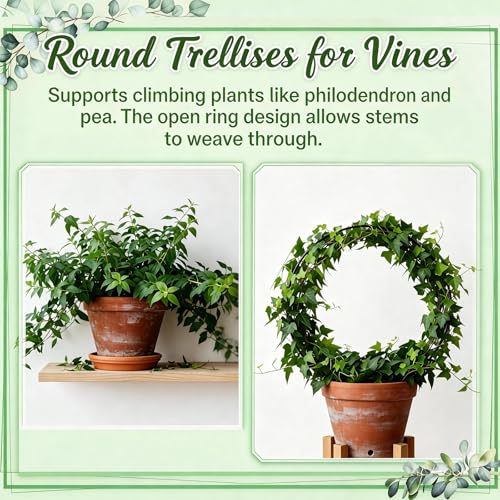 3 Pcs Hoya Trellis Set, Heart Shaped Plant Stand,