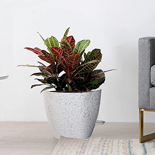 UOUZ Large Self Watering Pots, 12/10/9 Plastic Planters with High Drainage Holes and Deep Reservoir for Indoor Outdoor Garden Plants and Flowers, White Speckles - color: White Speckles