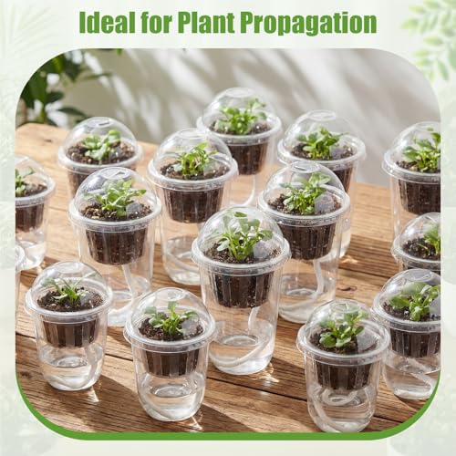 30 Packs 3.3" 4.5" Self Watering Plastic Clear Nursery Pots with Humidity Dome Seed Starter Cups Kits Hydroponic Basket Plant Labels Automatic Watering Planter for Propagation Planting Seedling