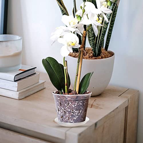Toddmomy Orchid Flowerpot with Tray Slotted Plastic Flower Pot with Drainage Holes for Phalaenopsis Nursery Pot for Indoor Plant Growth Balcony Office Shop 7.20 X 7.20 X 5.94 in