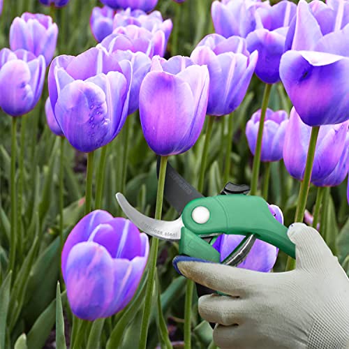 Nevlers 8" Green Bypass Pruning Shears Heavy Duty Pruning Scissors - color: Green, size: Bypass